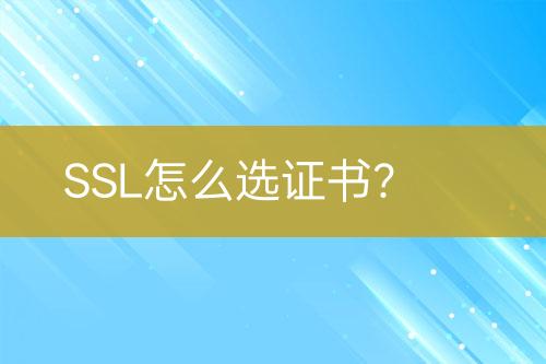 SSL怎么選證書(shū)？