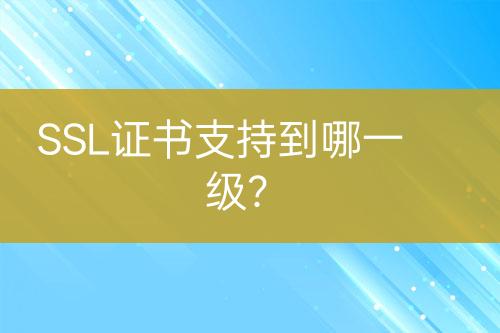 SSL證書支持到哪一級？