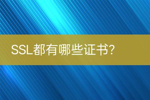 SSL都有哪些證書？