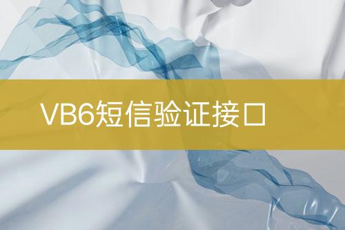 VB6短信驗(yàn)證接口