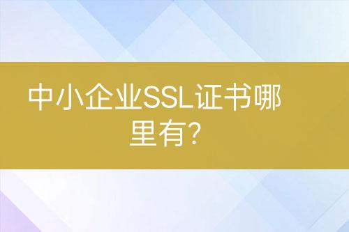 中小企業(yè)SSL證書哪里有？