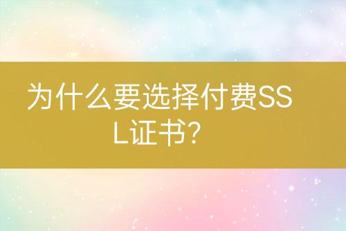 為什么要選擇付費(fèi)SSL證書？