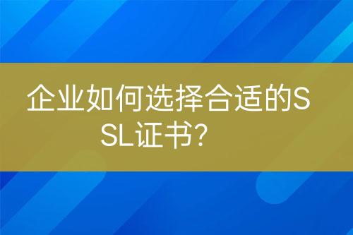 企業(yè)如何選擇合適的SSL證書(shū)？