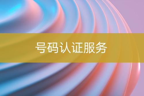 號(hào)碼認(rèn)證服務(wù)