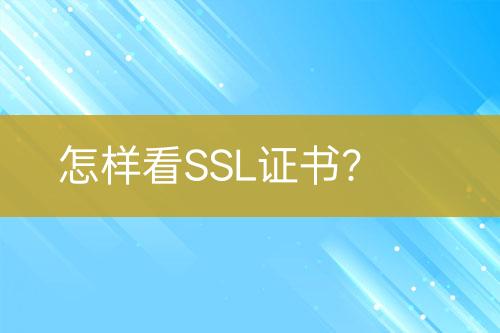 怎樣看SSL證書？